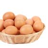 imageAugason Farms Pasteurized Scrambled Egg Mix Can Emergency Food Supply Everyday Meals 57 ServingsWhole Egg Product  11 Lbs