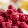 imageAugason Farms Dehydrated and FreezeDried Fruit Variety Pail 25Year Shelf Life Emergency Food Supply Camping FoodFreezeDried Fruit