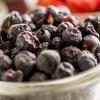 imageAugason Farms Dehydrated and FreezeDried Fruit Variety Pail 25Year Shelf Life Emergency Food Supply Camping FoodFreezeDried Fruit